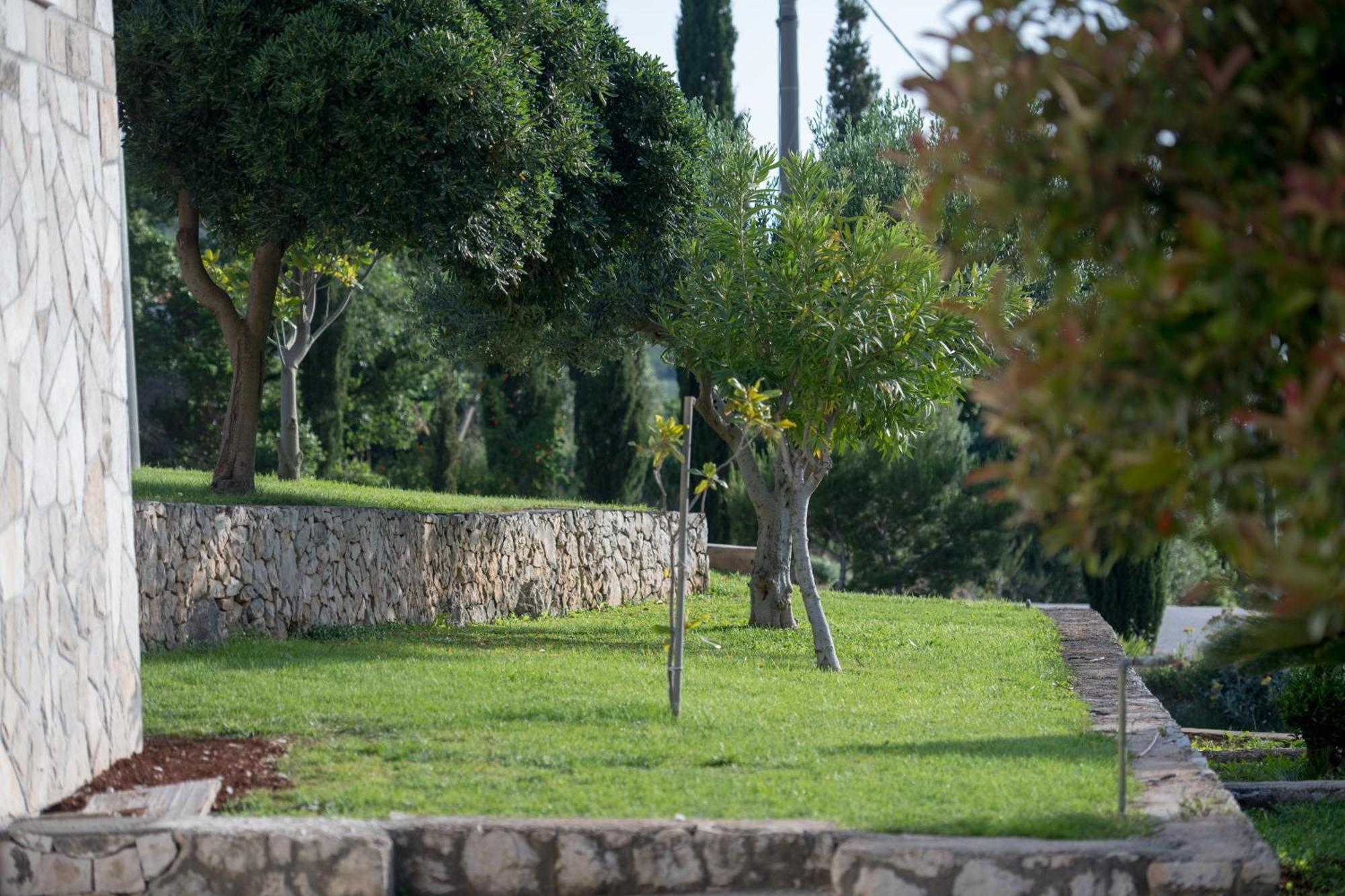 Apartments Mi&Ni Cavtat Rum bild